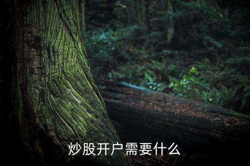 炒股開(kāi)戶需要什么