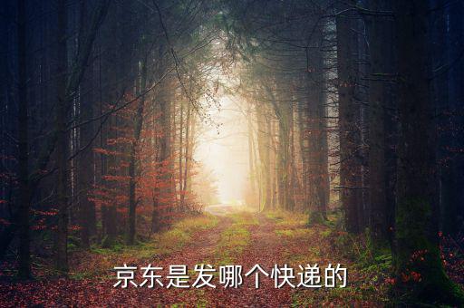 京東自營是發(fā)什么快遞，京東的自營產(chǎn)品一般發(fā)什么物流先謝謝大家了