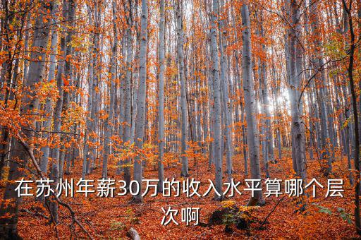 年薪三十萬元處于什么階層，在蘇州年薪30萬的收入水平算哪個層次啊