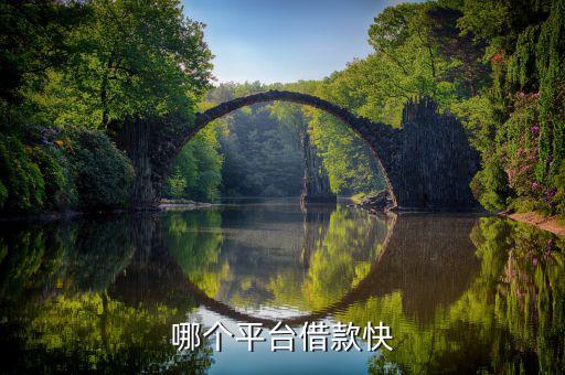 什么平臺(tái)容易借錢(qián)，什么借錢(qián)軟件容易借錢(qián)