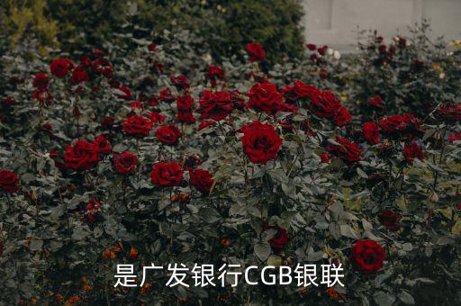 廣發(fā)銀行是什么，廣發(fā)銀行跟廣東發(fā)展銀行是同一個(gè)銀行嗎