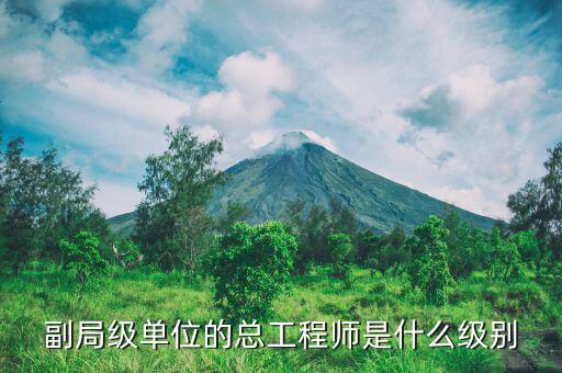 核安全總工程師是什么級(jí)別，總工程師是什么級(jí)別