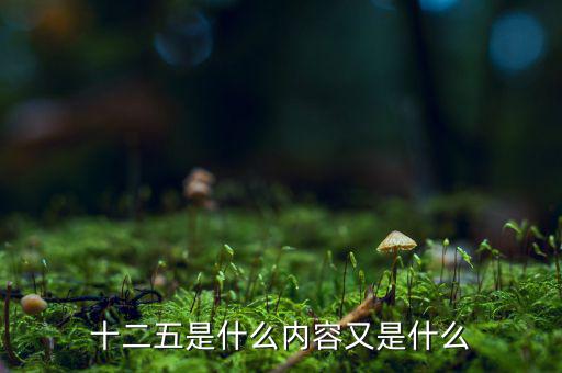 十二五干什么，十二五是什么內(nèi)容又是什么