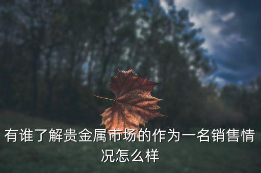 貴金屬公司為什么泛濫，有誰(shuí)了解貴金屬市場(chǎng)的作為一名銷(xiāo)售情況怎么樣