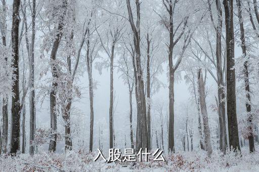 什么叫入股，入股是什么