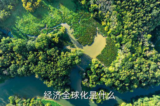 全球化風險包括什么，經(jīng)濟全球化是什么