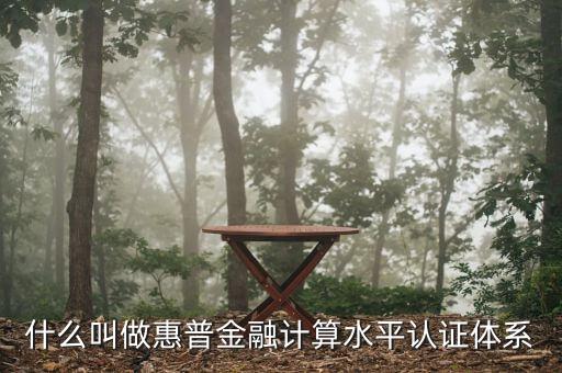 惠普金融是什么，普惠金融是什么意思