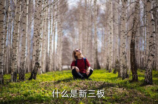 股票發(fā)行新三版是什么版塊，什么是新三板