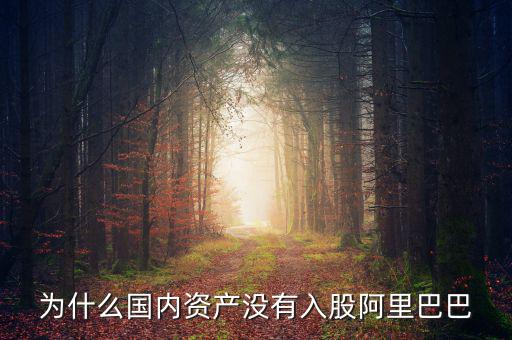 當初為什么沒投阿里巴巴，為什么國內(nèi)資產(chǎn)沒有入股阿里巴巴
