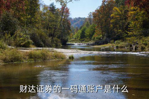 什么是一碼通證券賬戶，財(cái)達(dá)證券的一碼通賬戶是什么