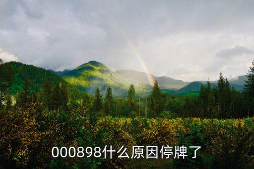 華資實業(yè)為什么停牌，000009今天為何停牌