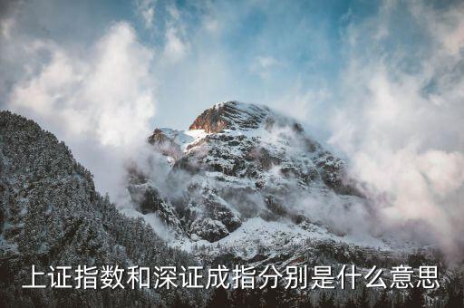 深成指b是什么，深證成指 中的成份A指和成份B指的區(qū)別求高手回答