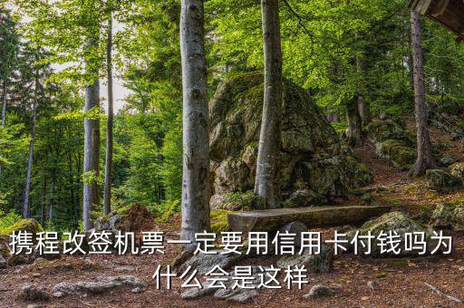 攜程為什么航班改簽，攜程訂了機票為什么不能改簽