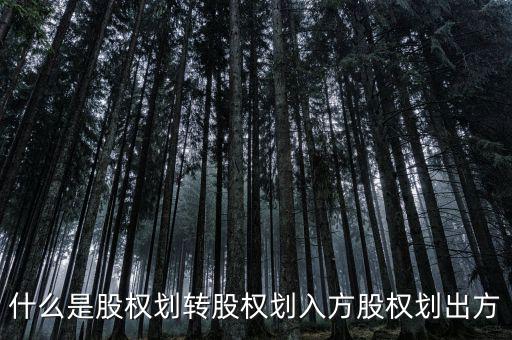 劃轉(zhuǎn)是什么意思，什么是股權(quán)劃轉(zhuǎn)股權(quán)劃入方股權(quán)劃出方