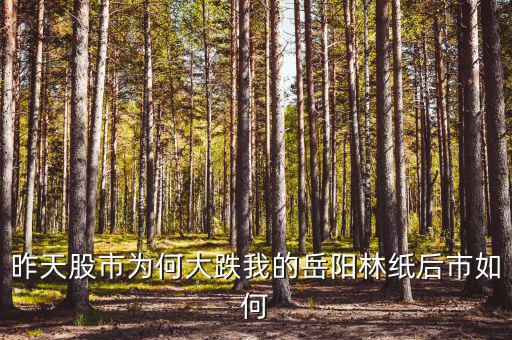 岳陽林紙為什么停牌，誰能告訴我這是怎么回事是停牌了嗎