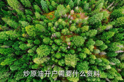 炒原油開戶需要什么，原油開戶需要哪些資料