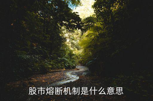 熔斷機(jī)制是什么意思，熔斷機(jī)制怎么理解啊