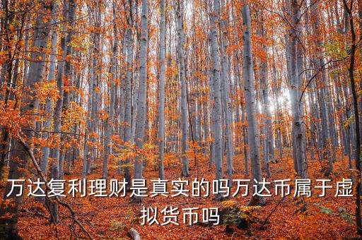 萬達貨幣是什么，萬達復(fù)利理財是真實的嗎萬達幣屬于虛擬貨幣嗎