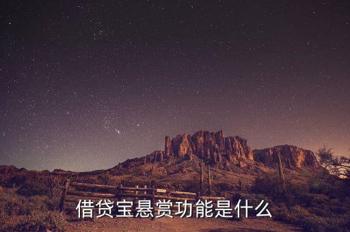 借貸寶追賞是什么意思，追賞是什么意思