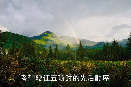 學(xué)駕駛五項進度什么安排的，考駕駛證五項時的先后順序