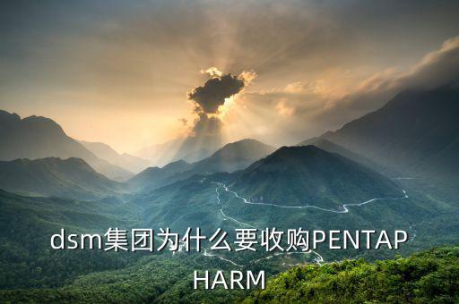 喜游國際被什么公司并購，DSM據(jù)說收購了一個(gè)特牛的公司是什么大家有知道的嗎