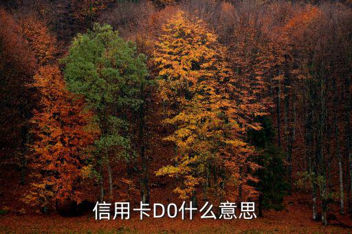預付卡的贖回是什么意思，信用卡D0什么意思