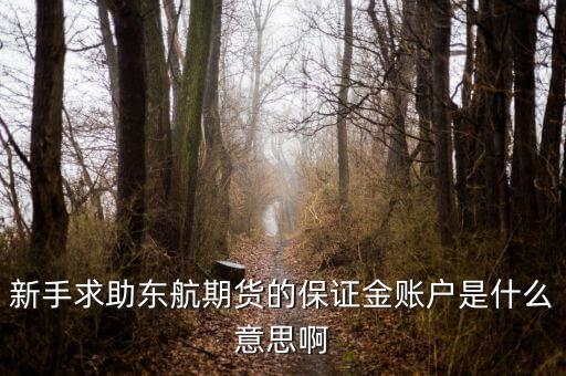 金保證財富管理和東航什么關系，國鼎旗下的可溯貸資金安全嗎