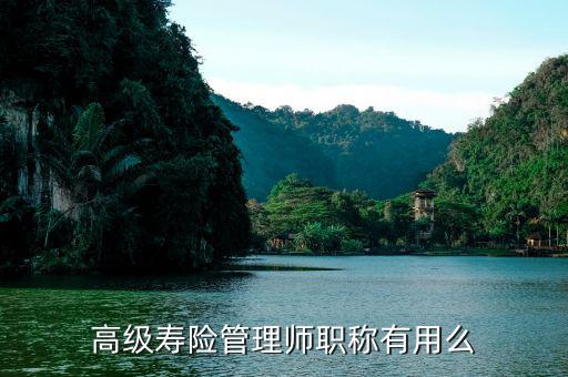 保險高管證有什么用，朋友讓我?guī)退急ｋU高管證說考過了我就是他公司的法人這兩個