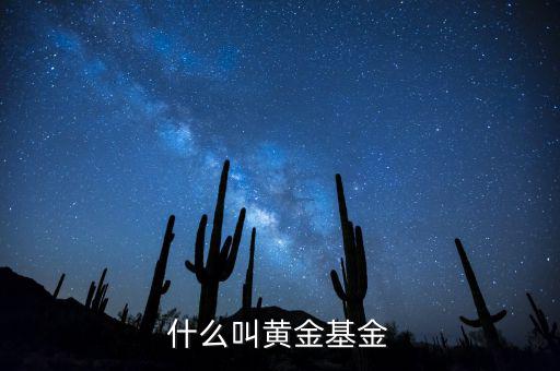 基金類型黃金型是什么意思，基金類型是黃金型所謂的黃金型是什么意思