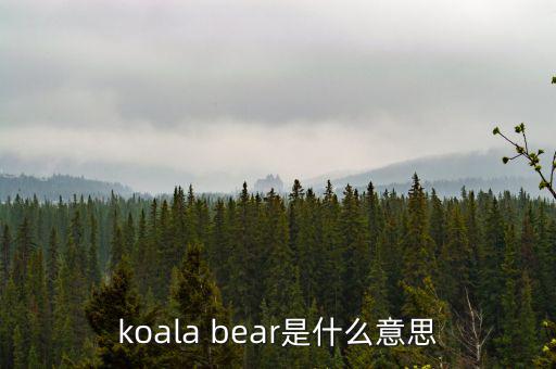 牛壓熊什么意思，tady bear是什么意思