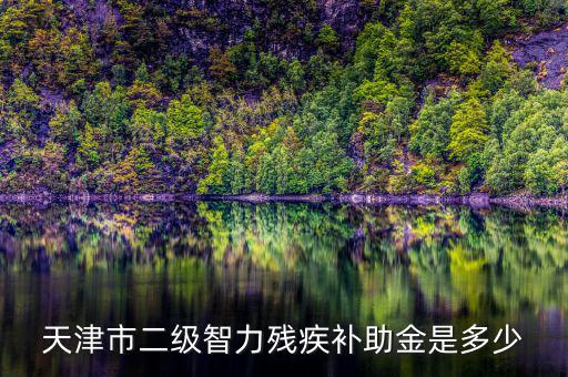 天津市對二級殘疾人有什么補助，二級殘疾人補助標準