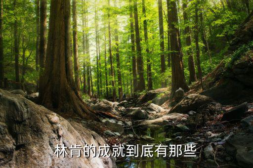 林肯的業(yè)績有什么，華盛頓林肯共同歷史功績
