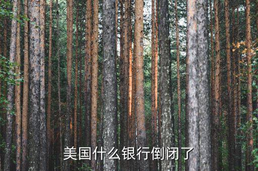 什么銀行倒閉了，美國(guó)什么銀行倒閉了