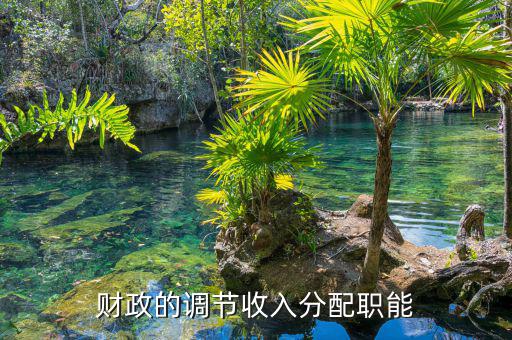 財(cái)政分配包括什么，向高手請(qǐng)教財(cái)政再分配都包括什么