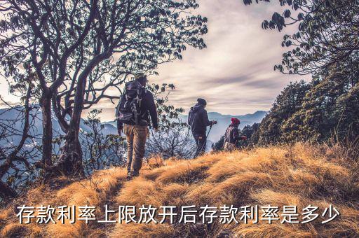 存款上限放開什么時候，各大商業(yè)銀行放開存款上限有什么政策