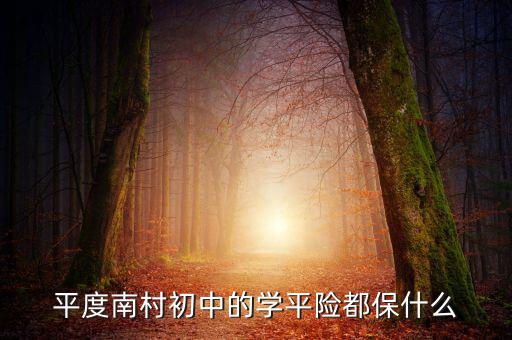 學(xué)平險保些什么，中國人壽60元的學(xué)平險保什么