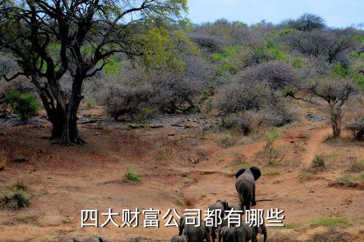 重啤集團還有什么資產(chǎn)，四大財富公司都有哪些