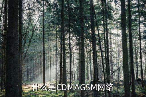 電信cdma是什么網(wǎng)絡(luò)，cdma是什么網(wǎng)絡(luò)