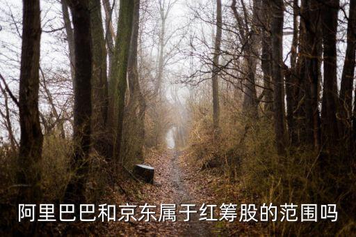 紅籌股是什么意思，權(quán)重股紅籌股