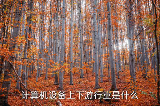 什么是計(jì)算機(jī)上游行業(yè)，軟件行業(yè)的上下游行業(yè)有哪些