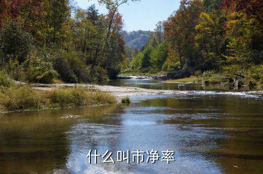 市凈率代表什么，市凈率代表什么
