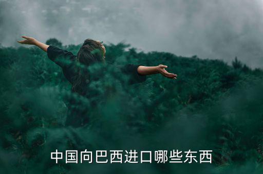 美國從巴西進口什么，中國向巴西進口哪些東西