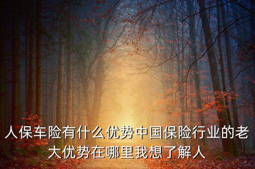 人保車險(xiǎn)有什么優(yōu)勢(shì)中國保險(xiǎn)行業(yè)的老大優(yōu)勢(shì)在哪里我想了解人