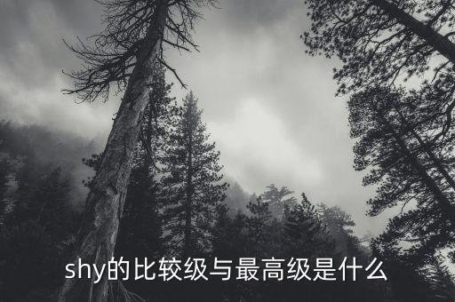 50etf期權(quán)是什么，汽車導(dǎo)航canl和canh是什么