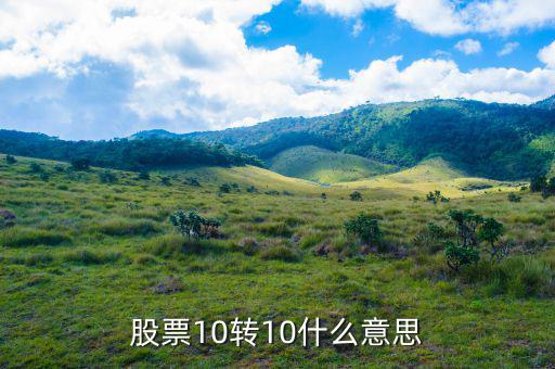 股票10送10轉10是什么意思，股市什么是10送10