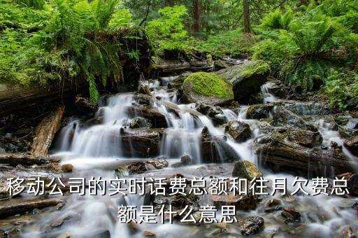 移動賬單總額什么意思，移動公司的帳單總額與實(shí)時話費(fèi)區(qū)別