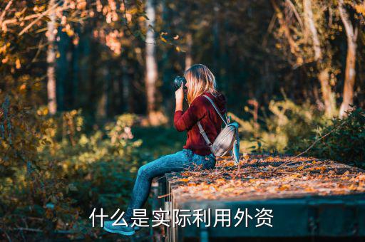 什么叫實(shí)際使用外資，什么是實(shí)際利用外資