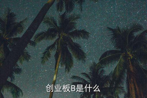 創(chuàng)業(yè)板b杠桿是什么，創(chuàng)業(yè)板B是什么