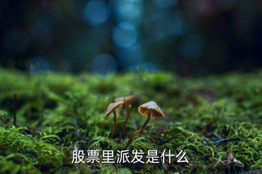 什么是股票派發(fā)，股票什么叫派發(fā)
