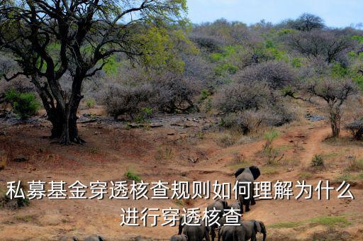 基金的穿透是什么意思，私募基金合格投資者的穿透核查怎么理解